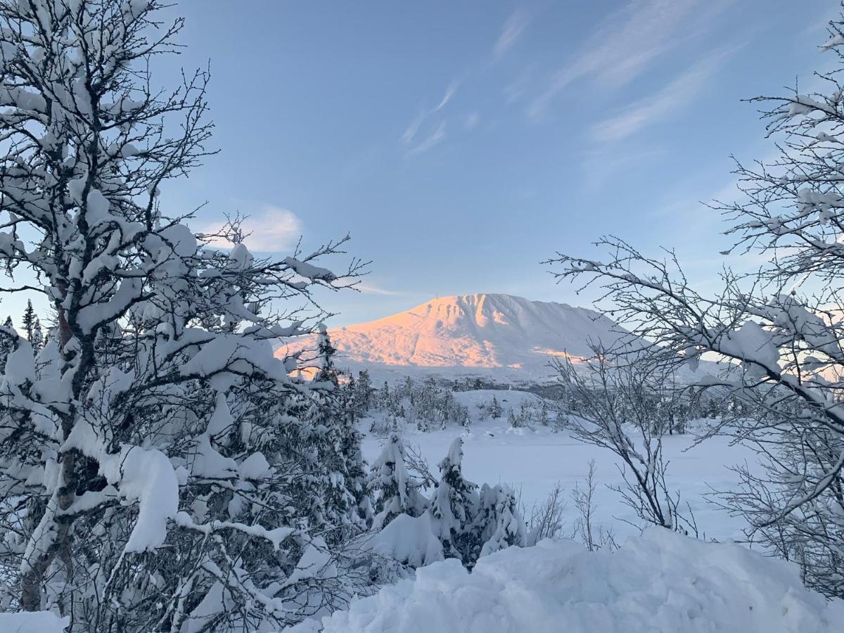 New Apartment, Gausta In Rjukan. Ski In/ Ski Out المظهر الخارجي الصورة